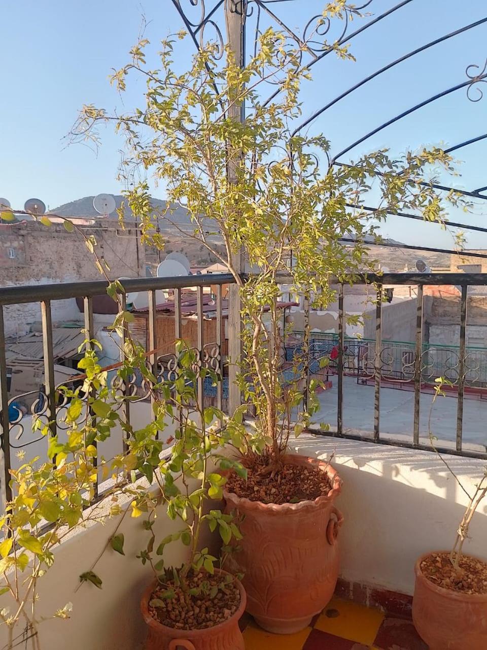 Drissia Panoramic Fès